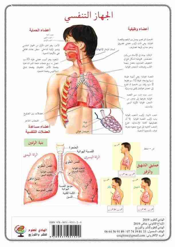 Librairie Bouarroudj - بطاقات جسم الإنسان الهادي